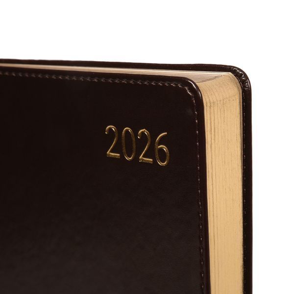 Ежедневник А5 Leo Planner датированный 2026 "Aldento", интегральный, темно-коричневый, 368 стран 252673 фото