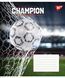 Тетрадь ученическая общая YES Champion А5 48 листов линия 767828 фото 4