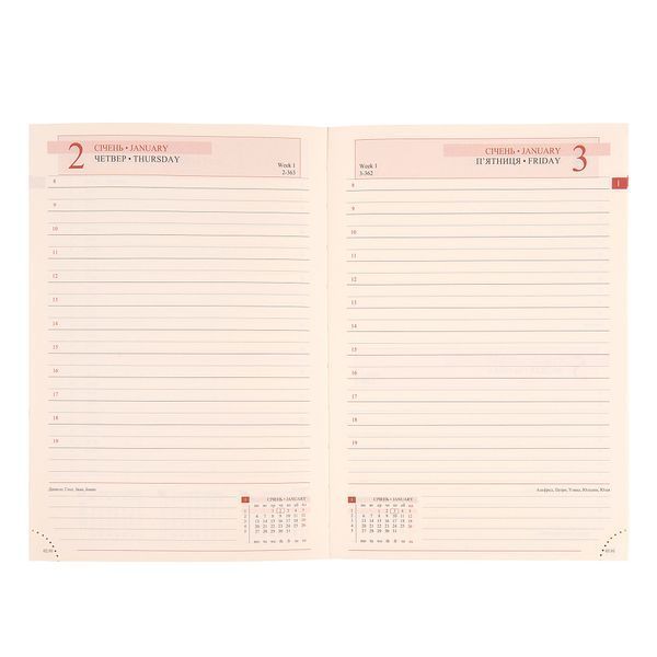 Ежедневник А5 Leo Planner датированный 2025 Rettangolo 368 стр 252588 фото