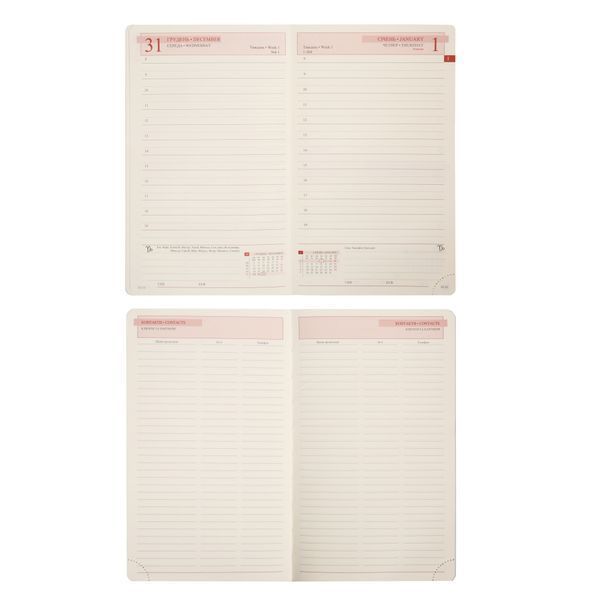 Ежедневник 12х20 см Leo Planner датированный 2026 "Glory", мягкий, черный, 352 страницы 252632 фото